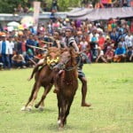 Pasola, Eksotisme Perang Berkuda di Sumba